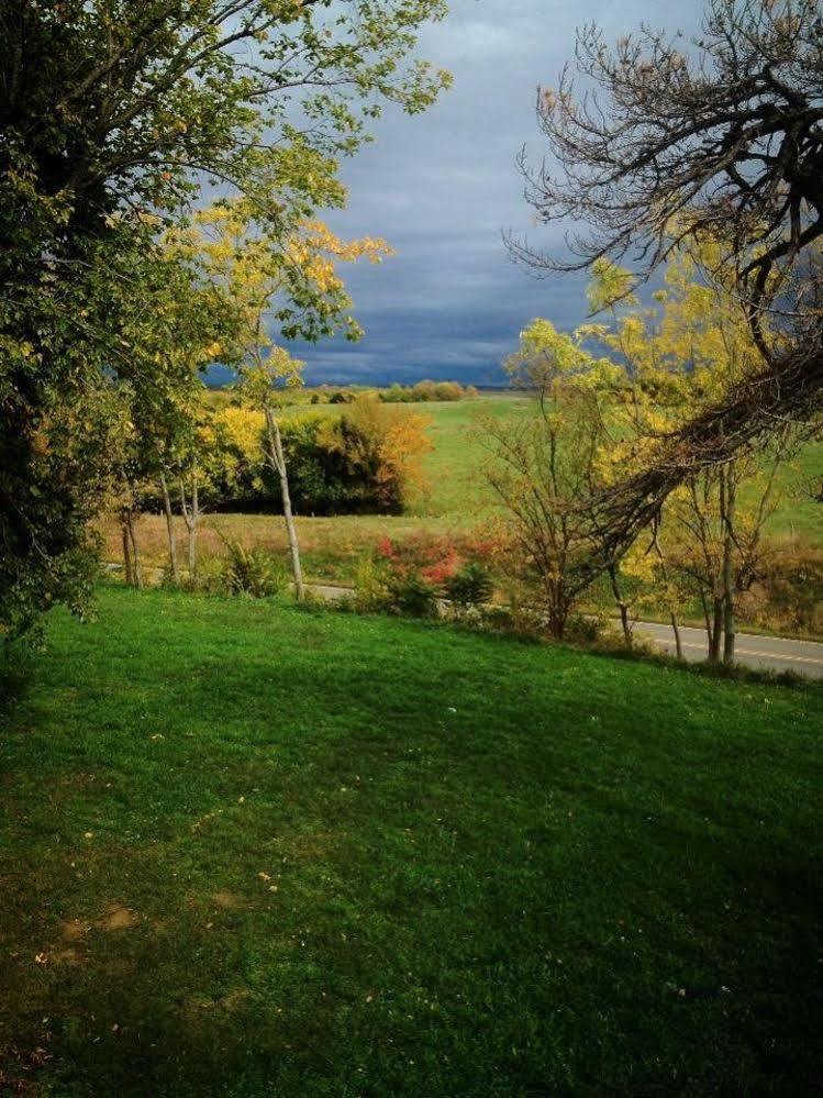 Netherfield Natural Farm Fontana Bagian luar foto