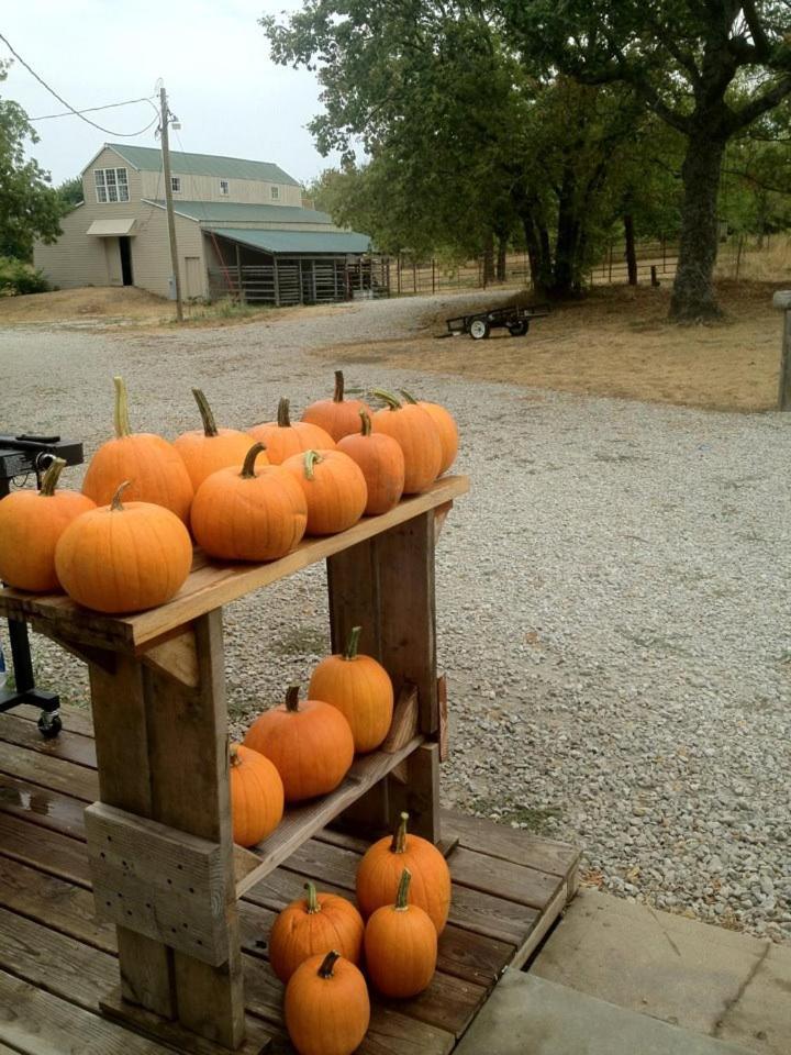 Netherfield Natural Farm Fontana Bagian luar foto