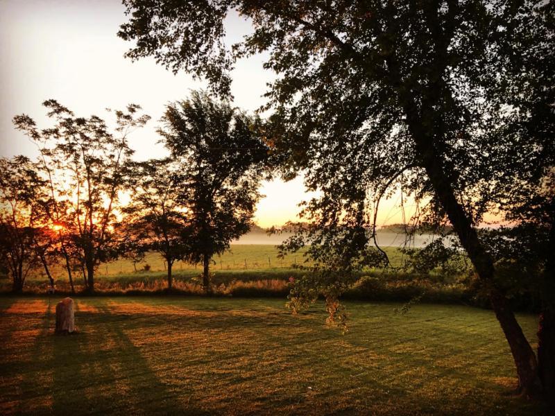 Netherfield Natural Farm Fontana Bagian luar foto